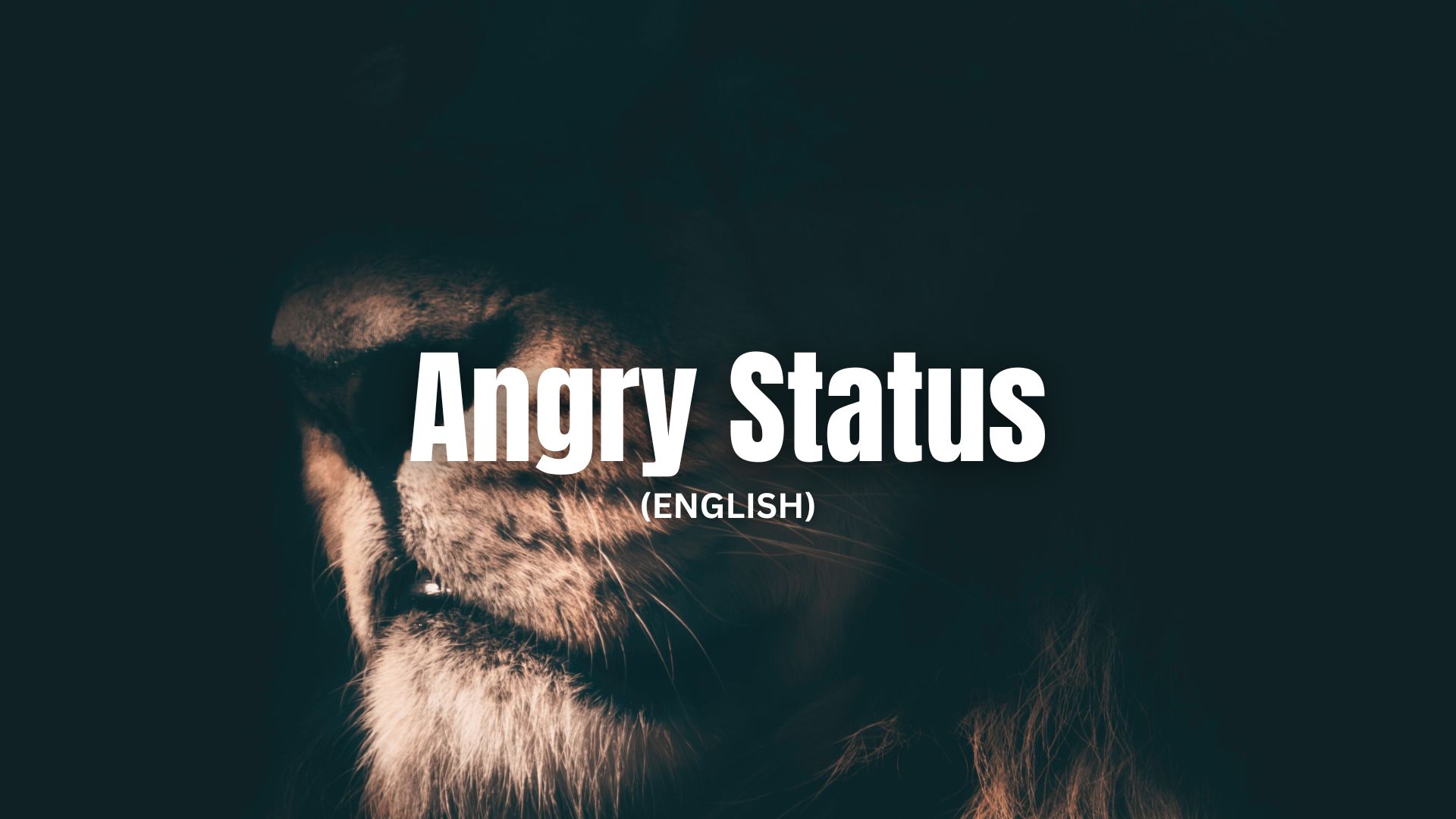 Angry Status